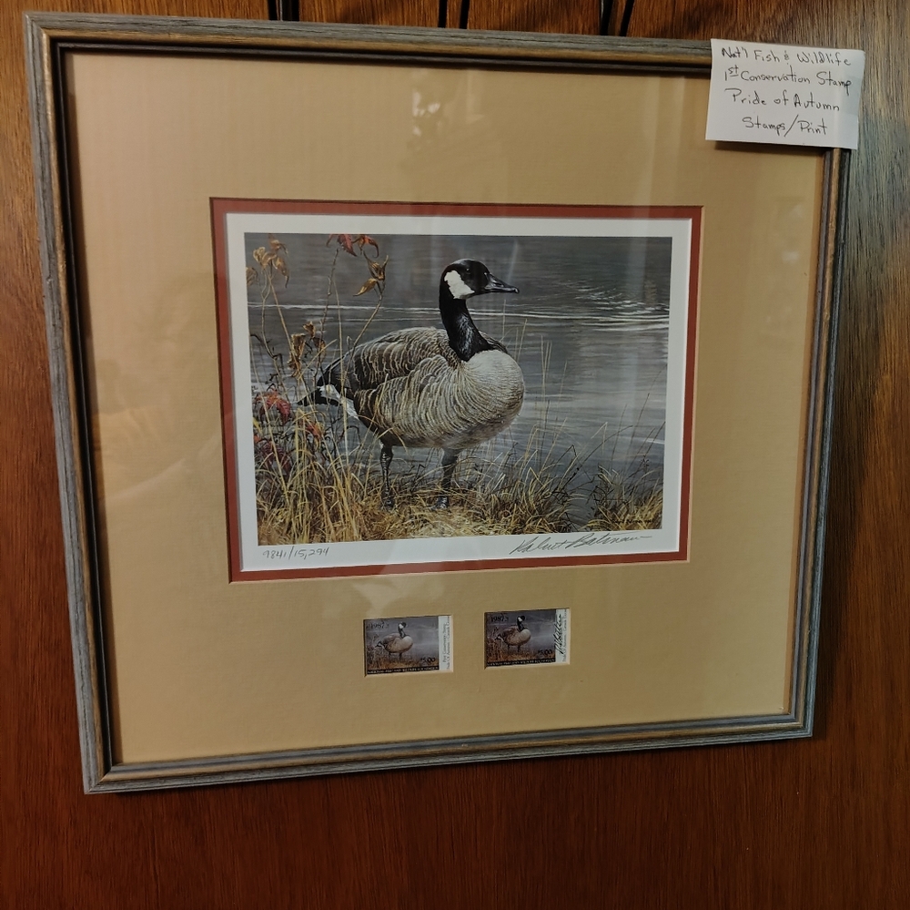 Canada Goose Informational Display in Black and White
